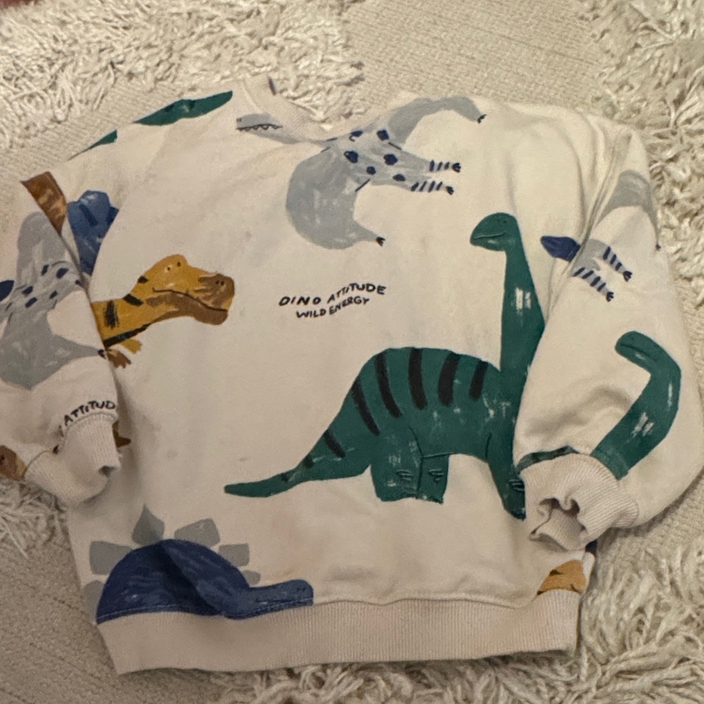 Zara Kids Dinosaur Print Sweater - Multicolor